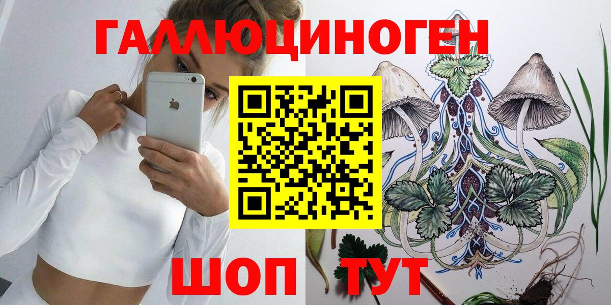 Белебей  Псилоцибиновые грибы Cubensis  Вход с VPN 